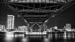 Bridges grayscale monochrome