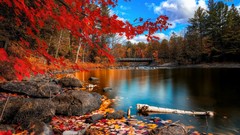 Bridges lakes forests