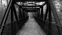 Bridges monochrome