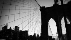 Bridges new york city