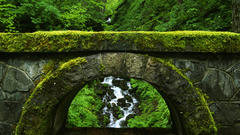 Bridges streams moss