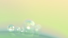 Bright dew simple water drops minimalistic 3D renders