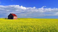 Bright skyscapes nature fields