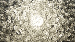 Bright white light bokeh