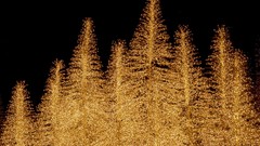 Brilliant Texas Plaza