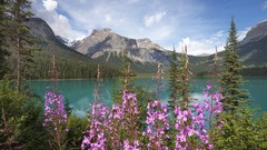 British Columbia national park emerald