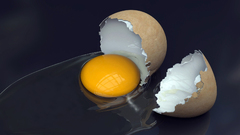Broken egg eggs