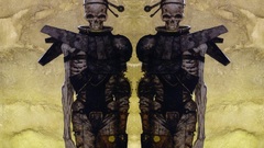 Brom gerald Alex paradee