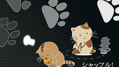 Brown cat cats Kitty