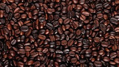 Brown Coffee Beans cups drinking beans Coffee Cream Coffee and 