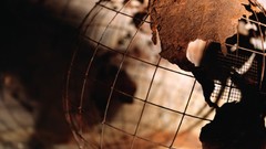 Brown globe windows 98