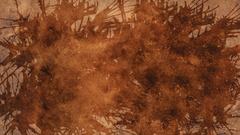 Brown splat grunge