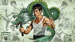 Bruce Lee Dragons 3d