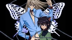 Brunettes blondes blue eyes