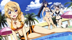 Brunettes blondes boobs bikini