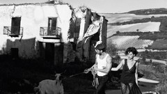 Brunettes blondes nipples legs