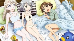 Brunettes blondes panties strike