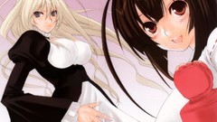 Brunettes blondes sekirei
