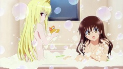 Brunettes blondes to love