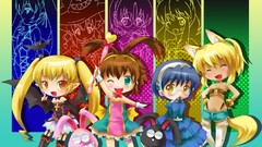 Brunettes blondes wings Liru