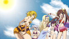 Brunettes blondes woman bikini