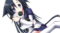 Brunettes blue eyes nekomimi