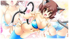 Brunettes boobs tails touhou