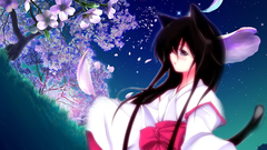 Brunettes cherry blossoms nekomimi