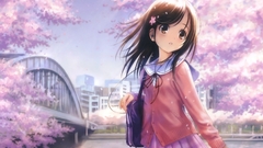 Brunettes cherry blossoms school