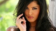 Brunettes digital desire Magazine