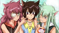 Brunettes eyepatch nekomimi loveless