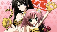 Brunettes green eyes pink