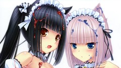 Brunettes long hair nekomimi