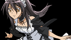 Brunettes Misaki ayuzawa kaichou