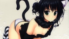 Brunettes panties nekomimi green