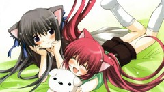 Brunettes redheads nekomimi Anime