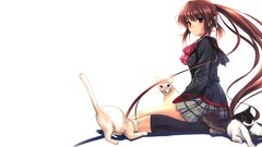 Brunettes stockings cats schoolgirls