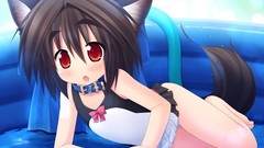 Brunettes tails animal ears