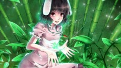 Brunettes touhou animal ears