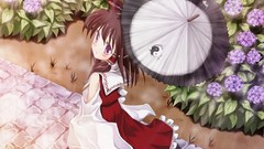 Brunettes touhou miko hakurei