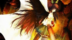 Brunettes touhou wings outer
