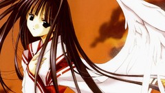 Brunettes wings miko Japanese