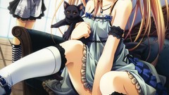 Brunettes woman blue eyes