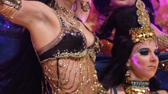 Brunettes woman Celebrity vanessa