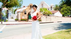 Brunettes woman denise milani