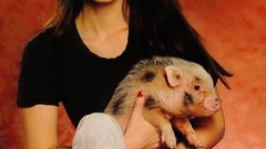 Brunettes woman Megan Fox