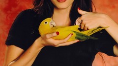 Brunettes woman Megan Fox