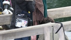 Brunettes woman Megan Fox