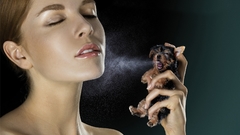 Brunettes woman Photo manipulation