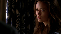 Brunettes woman summer glau